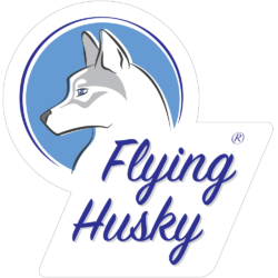 Flying Husky
